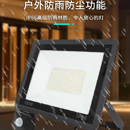 灯具灯饰中山工厂新款跨境人体感应100瓦投光灯户外庭院泛光灯具